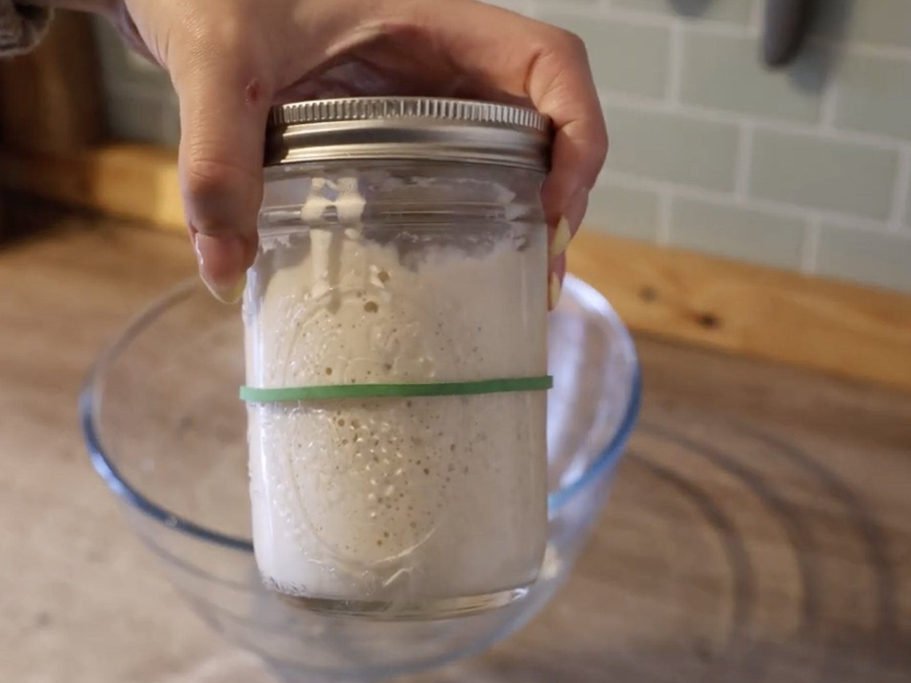 Sourdough Starter